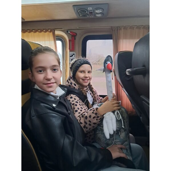 IMG